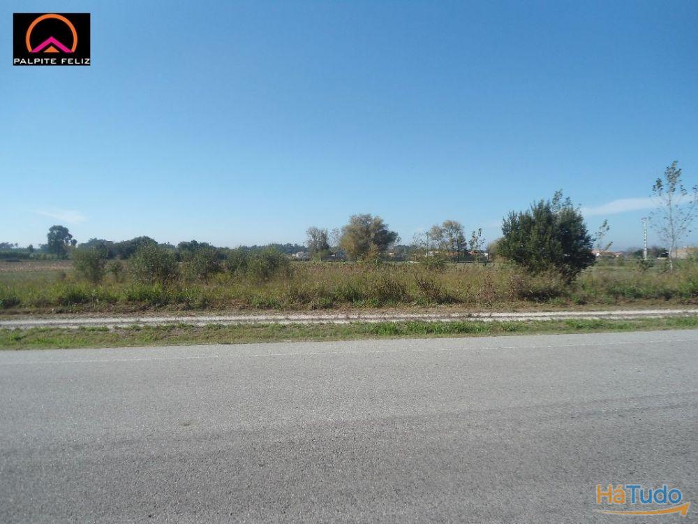 TERRENO, C/60M FTE, REA DE SERVIO, ILHAVO