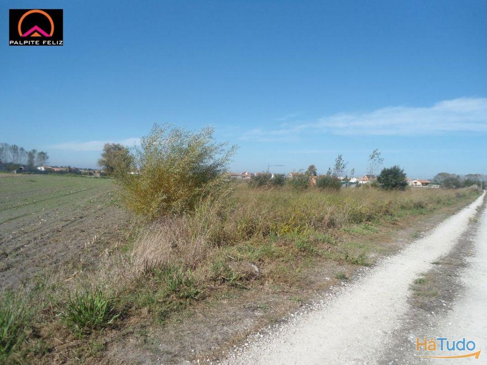 TERRENO, C/60M FTE, REA DE SERVIO, ILHAVO