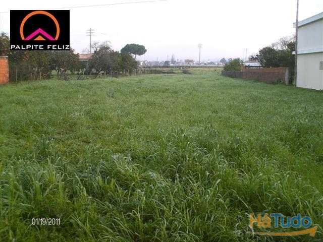 TERRENO, 23,5m,FTE, MORADIA ISOLADA, ILHAVO