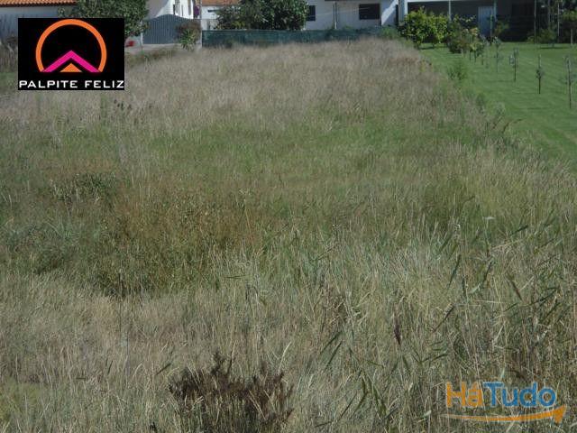TERRENO FRENTE PARA A RIA AVEIRO E COSTA NOVA