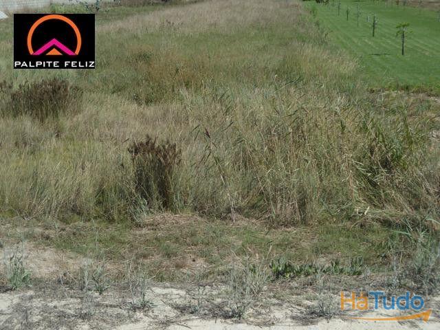 TERRENO FRENTE PARA A RIA AVEIRO E COSTA NOVA