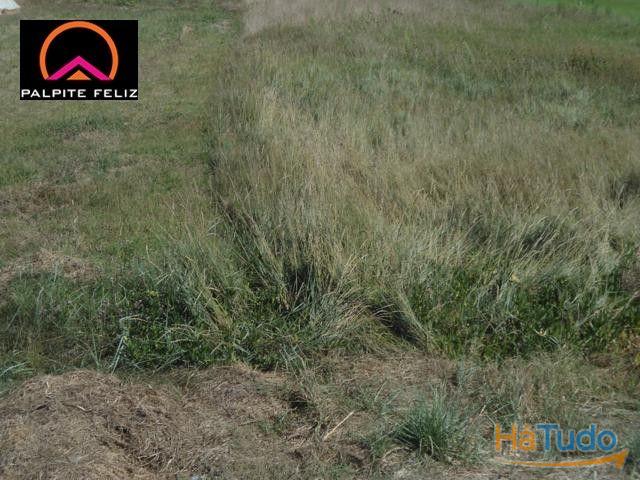 TERRENO FRENTE PARA A RIA AVEIRO E COSTA NOVA