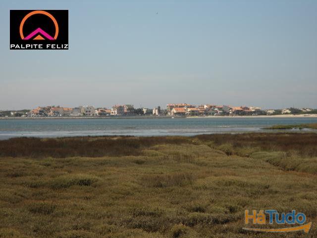 TERRENO FRENTE PARA A RIA AVEIRO E COSTA NOVA