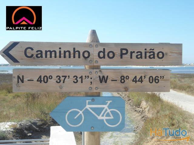 TERRENO FRENTE PARA A RIA AVEIRO E COSTA NOVA
