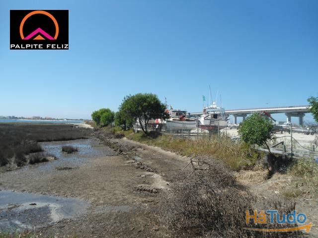 TERRENO FRENTE PARA A RIA AVEIRO E COSTA NOVA