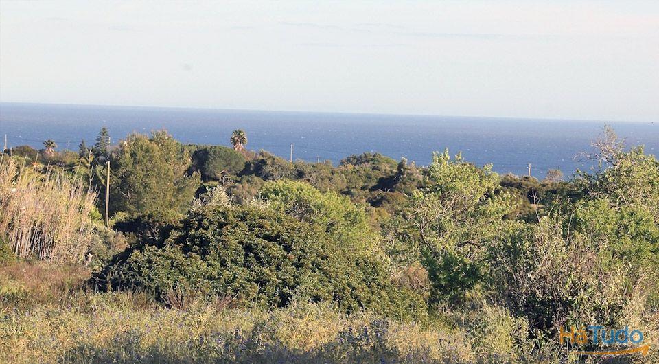 Caramujeira Terreno com ruína, com vistas espectaculares sobre o mar para venda