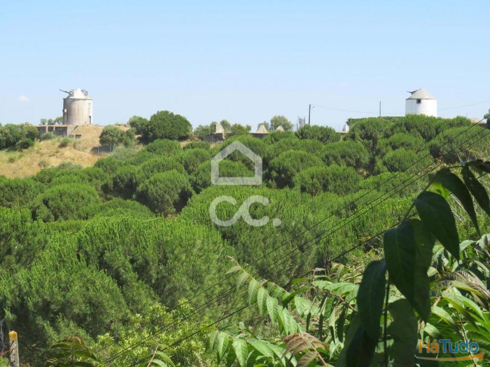 Terreno agrícola, localizado em Palmela, com vista para o Castelo