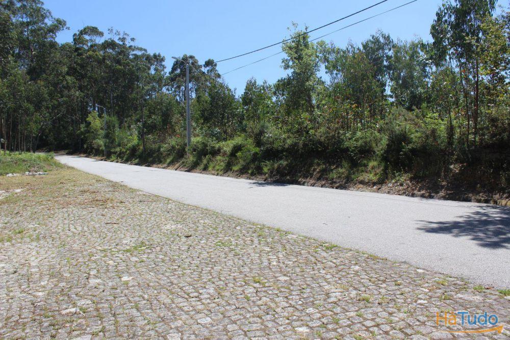 Terreno em  Caminha - Viana do Castelo