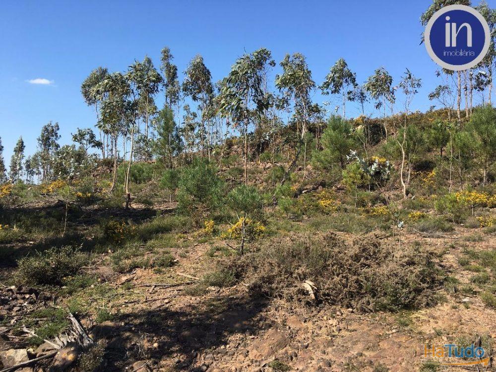 Terreno Industrial Terreno Industrial