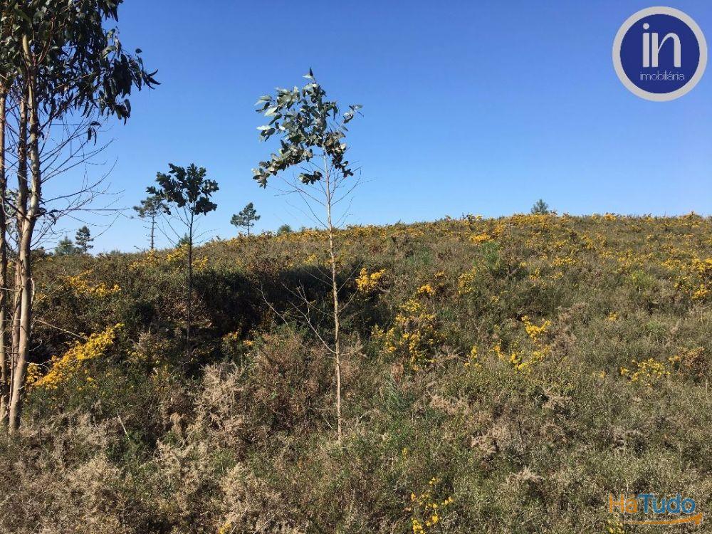 Terreno Industrial Terreno Industrial