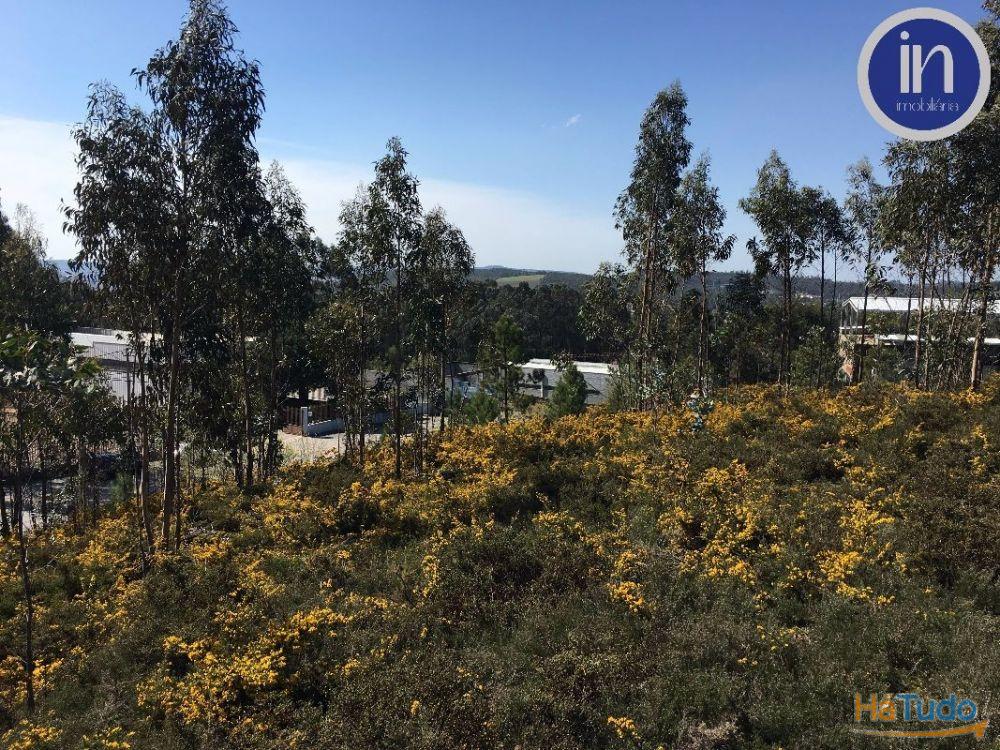 Terreno Industrial Terreno Industrial