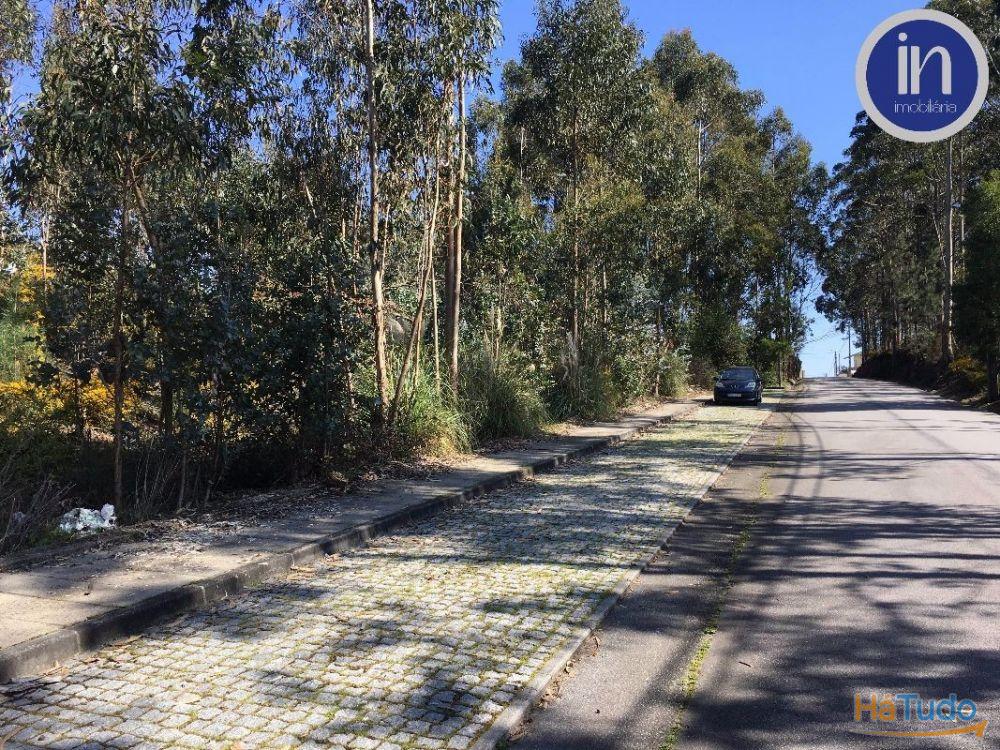 Terreno Industrial Terreno Industrial