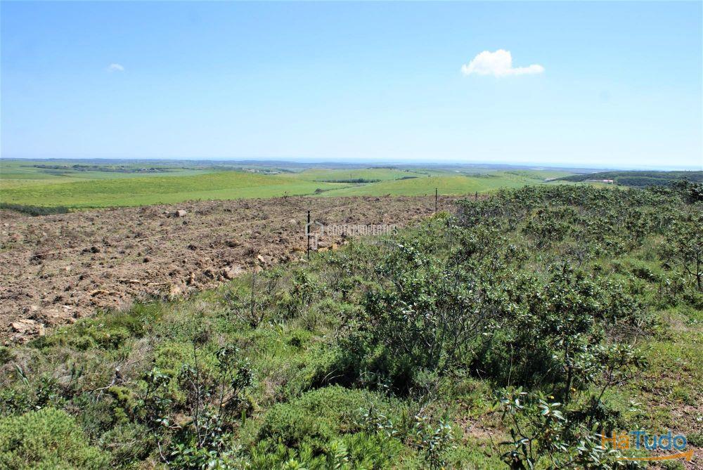 Terreno Rstico com mais de 9 Hectares na Vila do Bispo