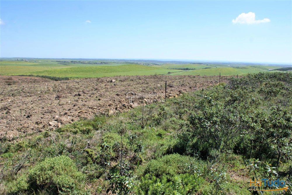 Terreno Rstico com mais de 9 Hectares na Vila do Bispo
