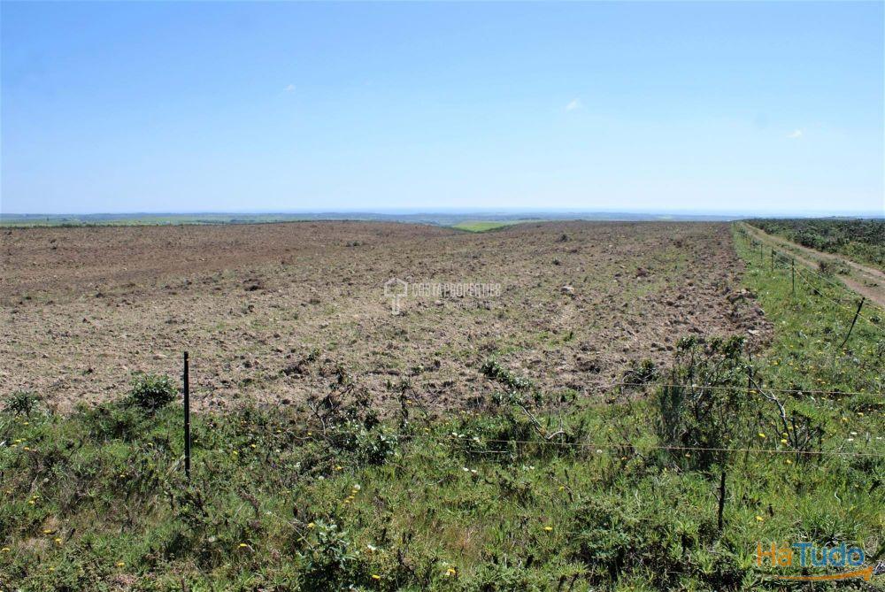 Terreno Rstico com mais de 9 Hectares na Vila do Bispo