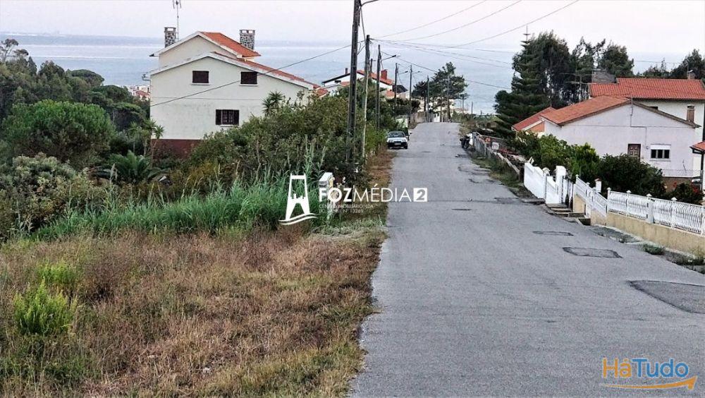 Terreno 3000m2 a 1 km da praia Tamargueira. Vistas Mar e Poço Terreno 3000m2 a 1 km da praia Tamargueira. Vistas Mar e Poço