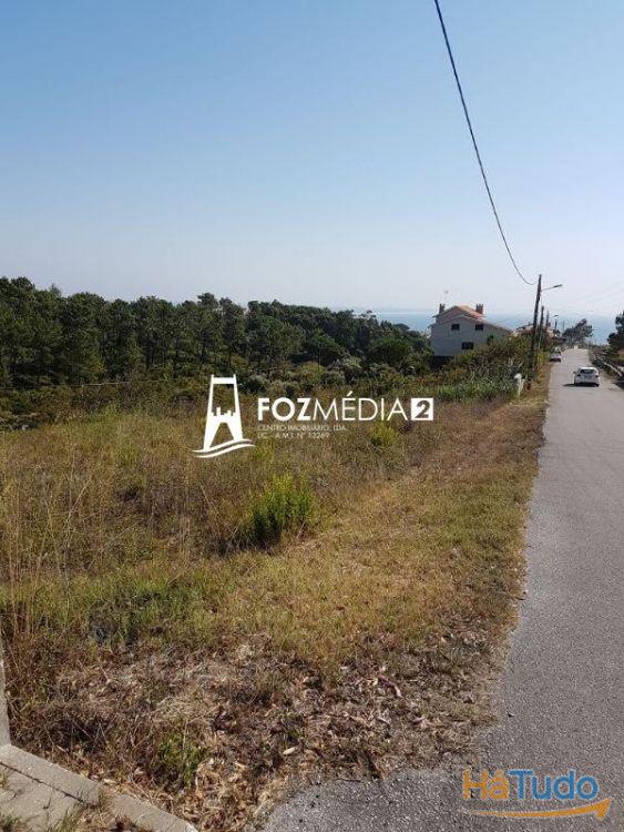 Terreno 3000m2 a 1 km da praia Tamargueira. Vistas Mar e Poço Terreno 3000m2 a 1 km da praia Tamargueira. Vistas Mar e Poço