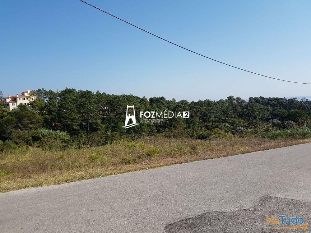 Terreno 3000m2 a 1 km da praia Tamargueira. Vistas Mar e Poço Terreno 3000m2 a 1 km da praia Tamargueira. Vistas Mar e Poço