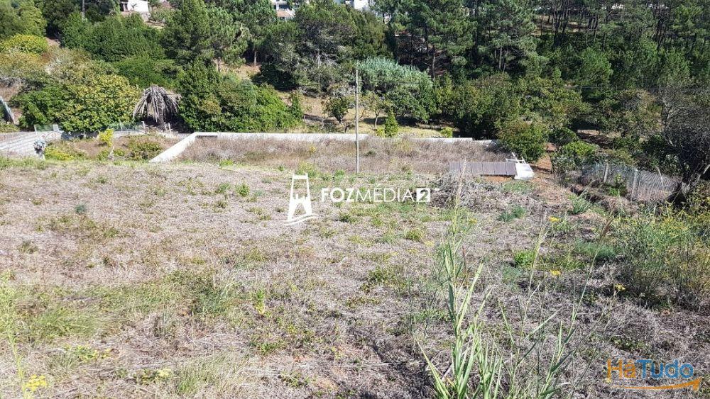 Terreno 3000m2 a 1 km da praia Tamargueira. Vistas Mar e Poço Terreno 3000m2 a 1 km da praia Tamargueira. Vistas Mar e Poço