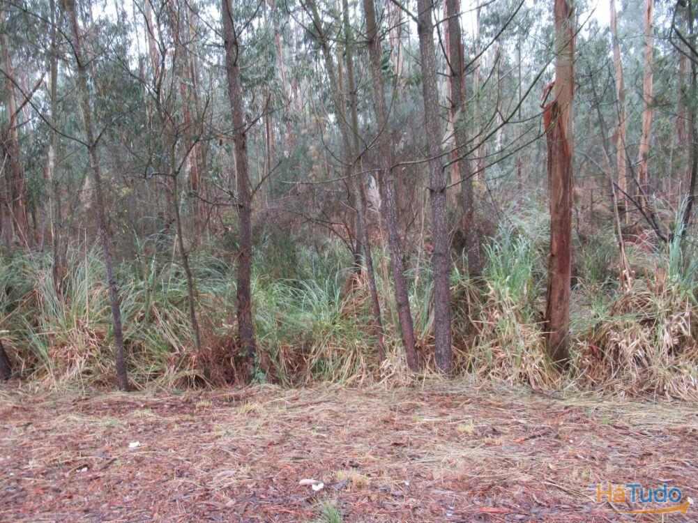 TERRENO PARA VENDA EM VILA NOVA DE GAIA