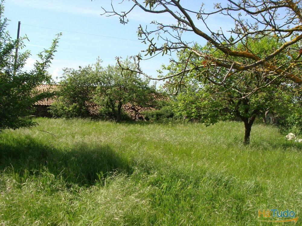 Moradia para restauro