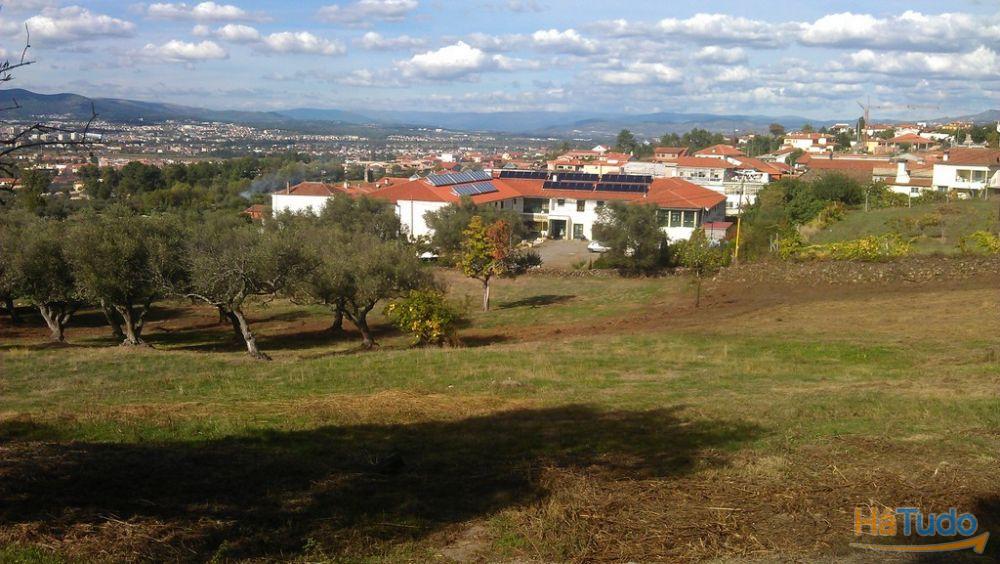 Quinta em Vilar de Nantes