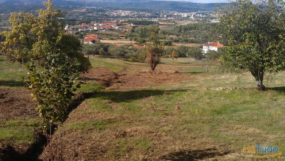 Quinta em Vilar de Nantes