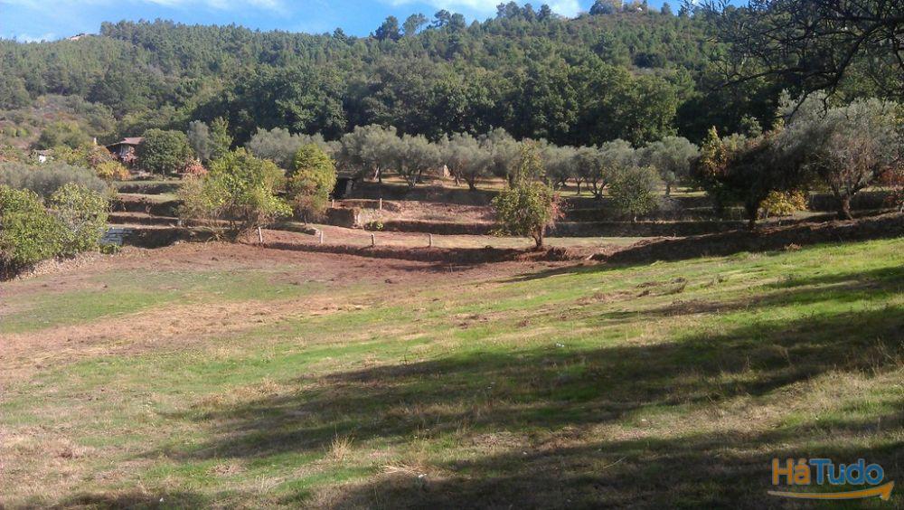 Quinta em Vilar de Nantes