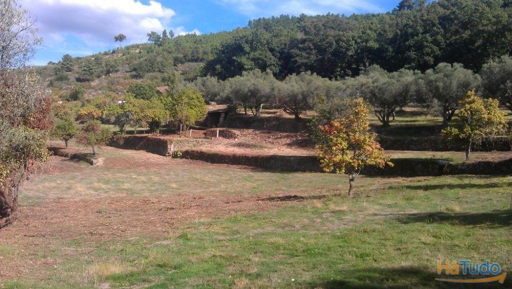 Quinta em Vilar de Nantes