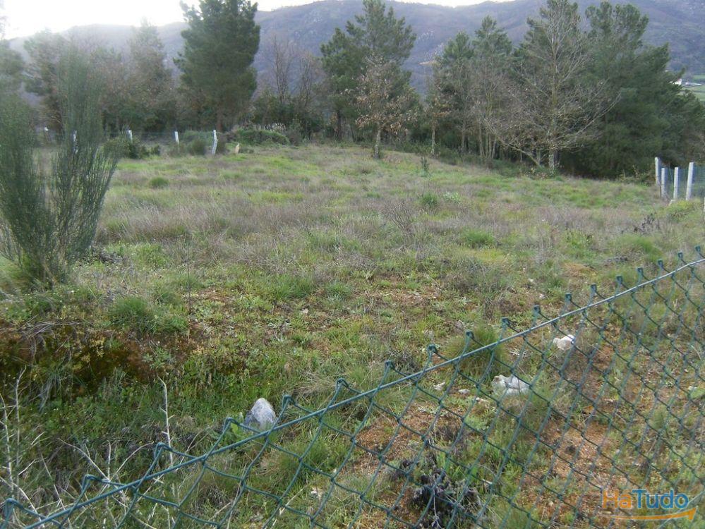 Lote de terreno em Samai�es