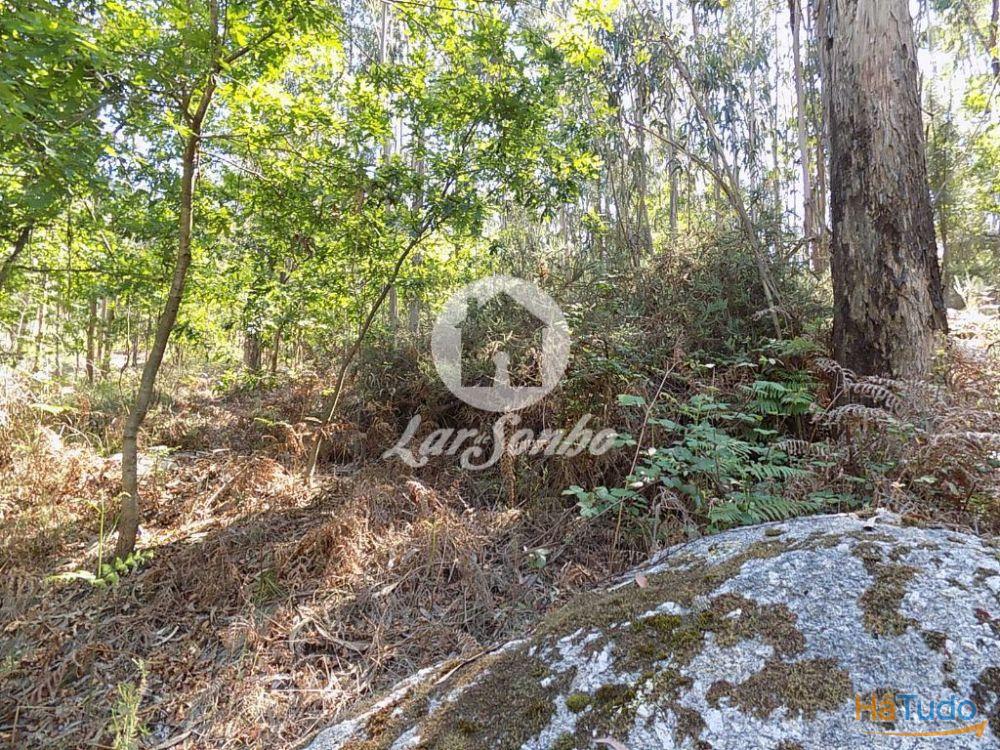 Bouça c/1.500m2 - Arnoso Sta. Eulália Bouça c/1.500m2 - Arnoso Sta. Eulália