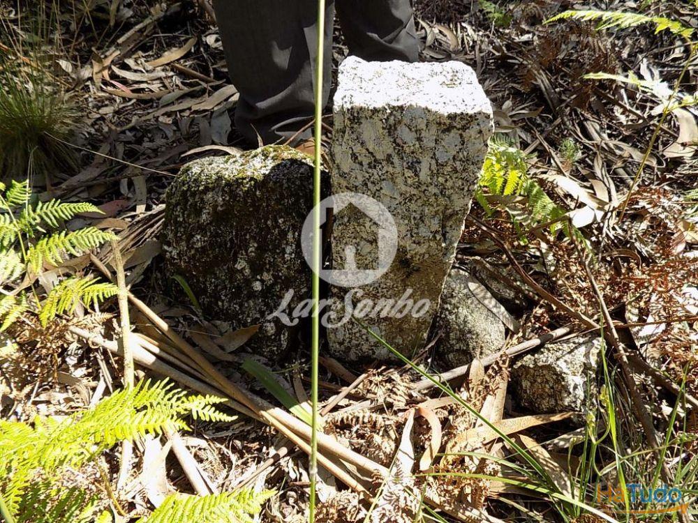 Bouça c/1.500m2 - Arnoso Sta. Eulália Bouça c/1.500m2 - Arnoso Sta. Eulália