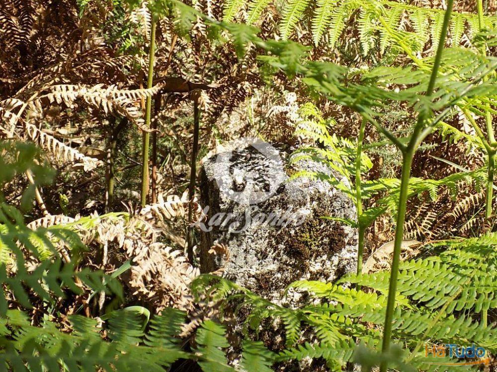 Bouça c/1.500m2 - Arnoso Sta. Eulália Bouça c/1.500m2 - Arnoso Sta. Eulália