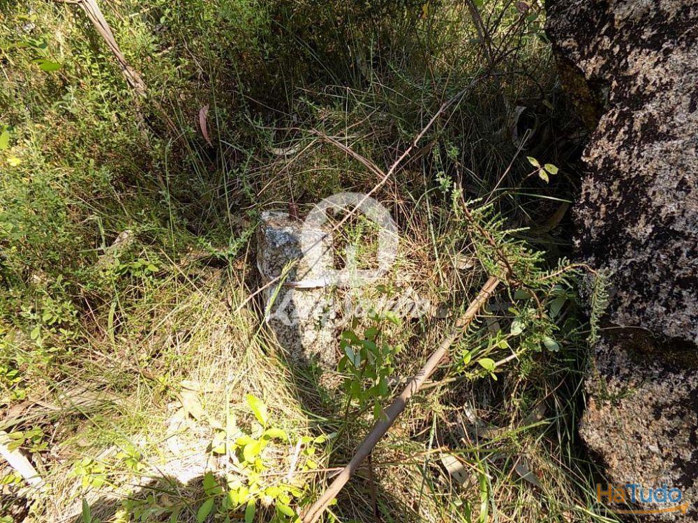 Bouça c/1.500m2 - Arnoso Sta. Eulália Bouça c/1.500m2 - Arnoso Sta. Eulália