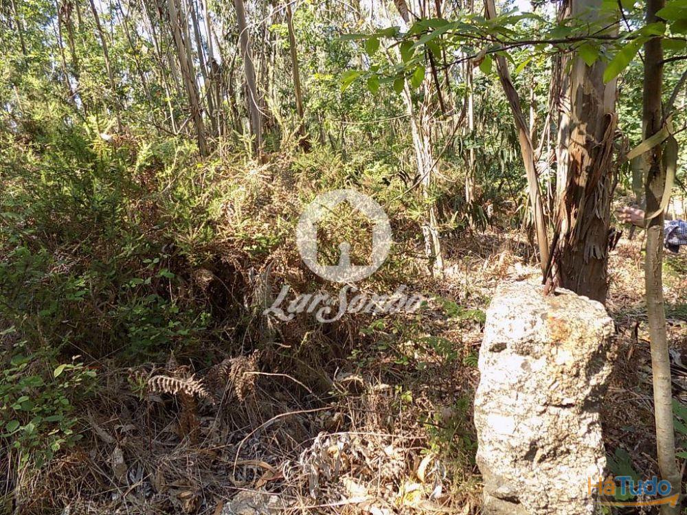 Bouça c/1.500m2 - Arnoso Sta. Eulália Bouça c/1.500m2 - Arnoso Sta. Eulália