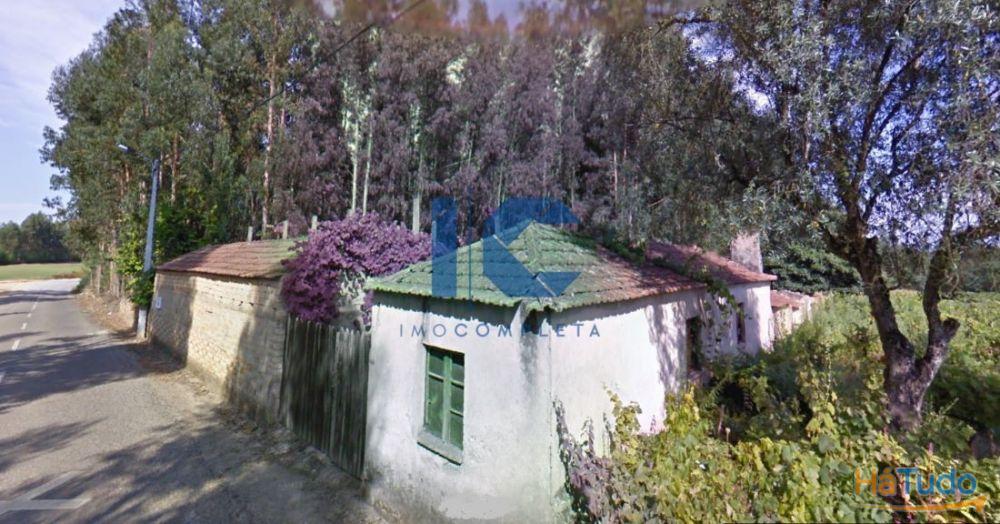 Terreno R�stico com Edifica��o para Remodelar em Cavadas - �gueda