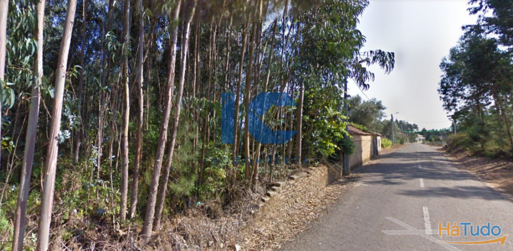 Terreno R�stico com Edifica��o para Remodelar em Cavadas - �gueda