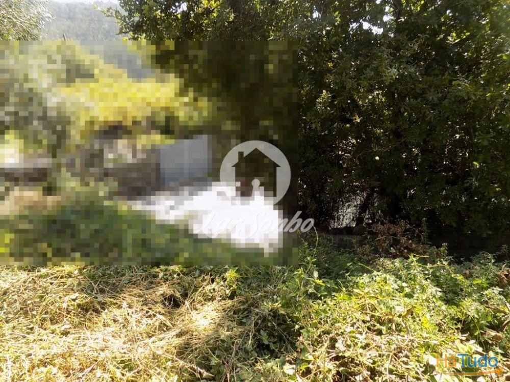 Moradia em ru�nas com terreno de 778 m2  - Jesufrei