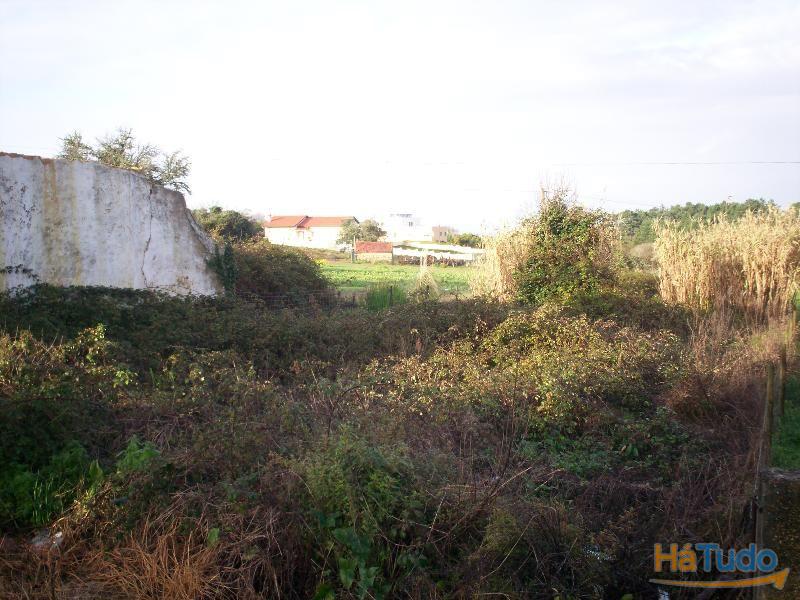 Terreno, Chãs Brenha Terreno, Chãs Brenha