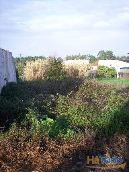 Terreno, Chãs Brenha Terreno, Chãs Brenha