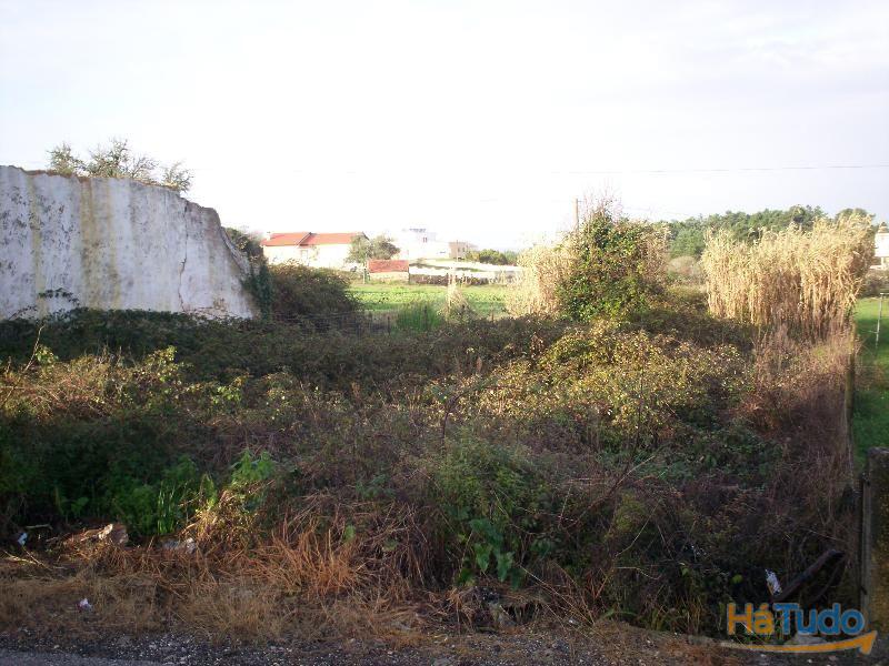 Terreno, Chãs Brenha Terreno, Chãs Brenha