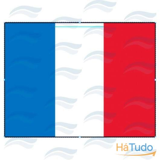 Bandeira de França 45x30
