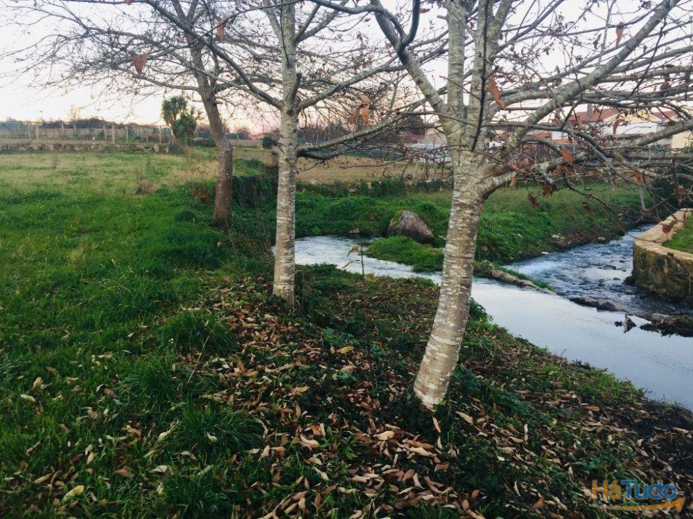 Terreno agrícola em Perelhal com 7 000m2 Terreno agrícola em Perelhal com 7 000m2