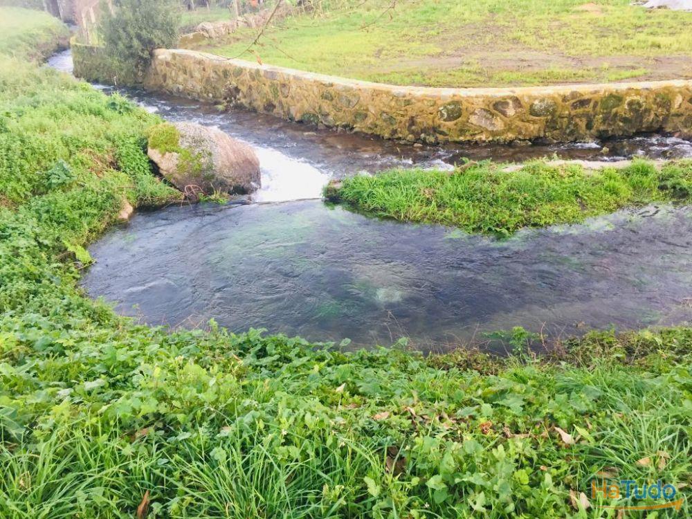Terreno agrícola em Perelhal com 7 000m2 Terreno agrícola em Perelhal com 7 000m2