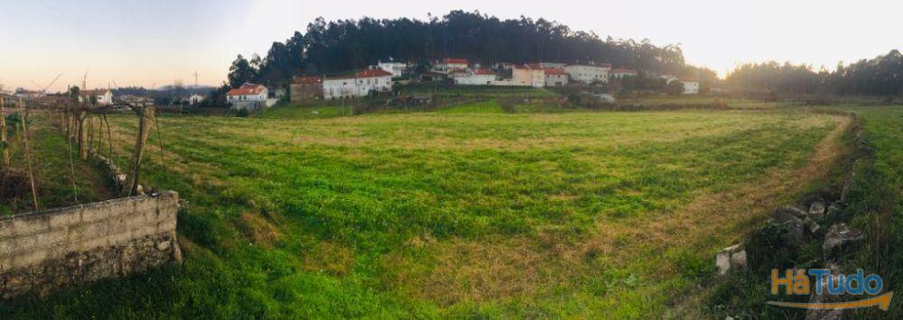 Terreno agrícola em Perelhal com 7 000m2 Terreno agrícola em Perelhal com 7 000m2