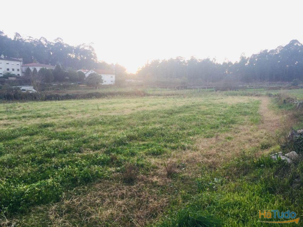 Terreno agrícola em Perelhal com 7 000m2 Terreno agrícola em Perelhal com 7 000m2