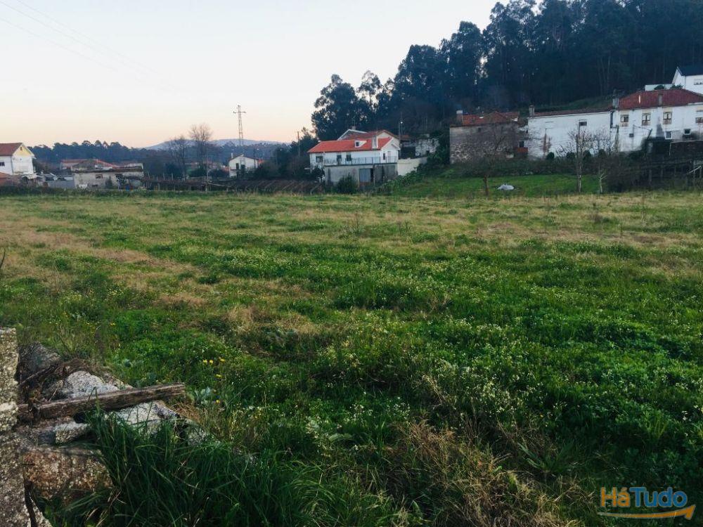Terreno agrícola em Perelhal com 7 000m2 Terreno agrícola em Perelhal com 7 000m2