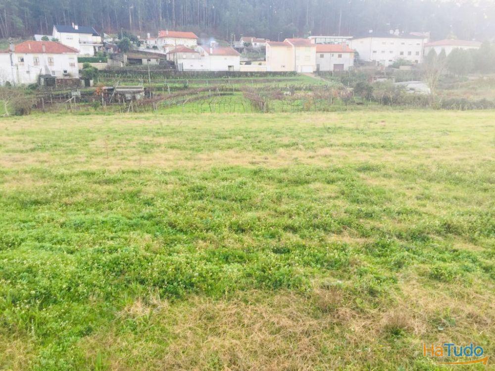Terreno agrícola em Perelhal com 7 000m2 Terreno agrícola em Perelhal com 7 000m2