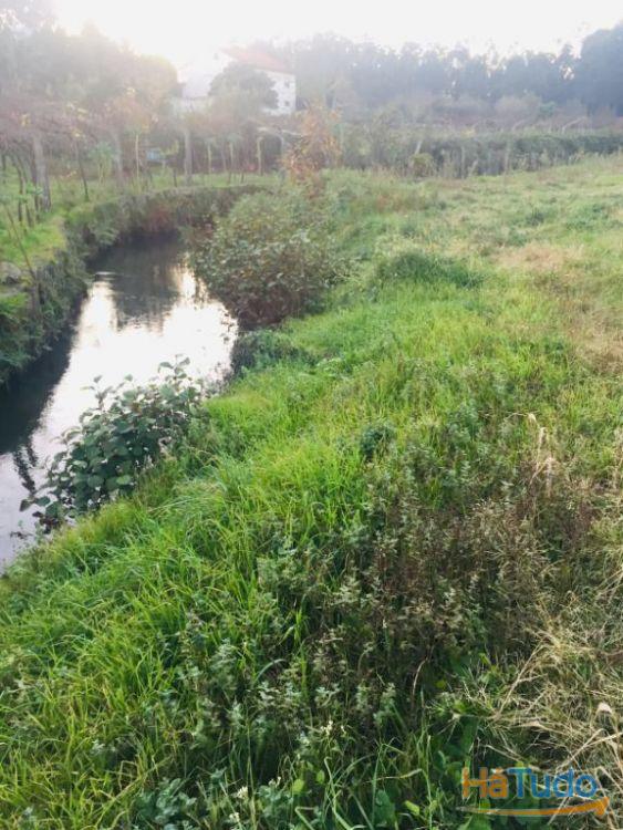 Terreno agrícola em Perelhal com 7 000m2 Terreno agrícola em Perelhal com 7 000m2