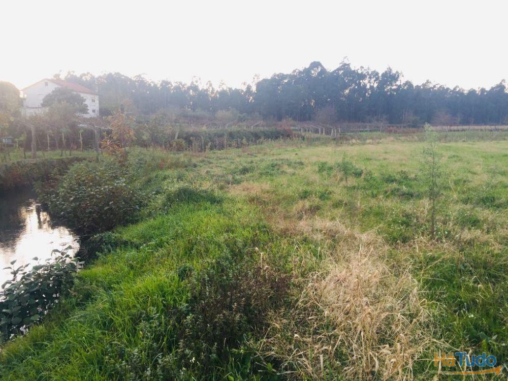 Terreno agrícola em Perelhal com 7 000m2 Terreno agrícola em Perelhal com 7 000m2